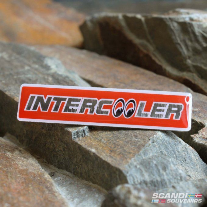 Pins intercooler